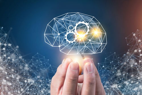 人工智能中的數據安全 釋放AI力量的關鍵與基礎軟件開發路徑